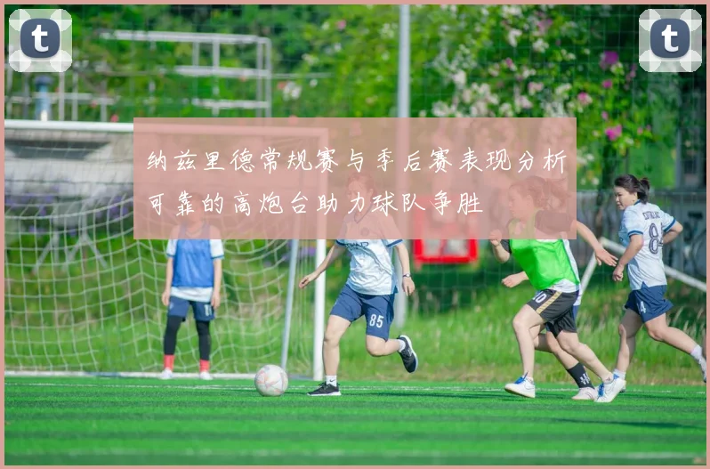 纳兹里德常规赛与季后赛表现分析可靠的高炮台助力球队争胜