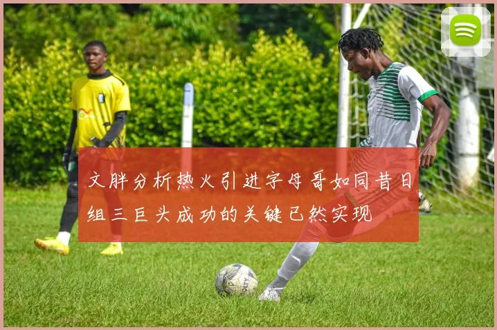 文胖分析热火引进字母哥如同昔日组三巨头成功的关键已然实现
